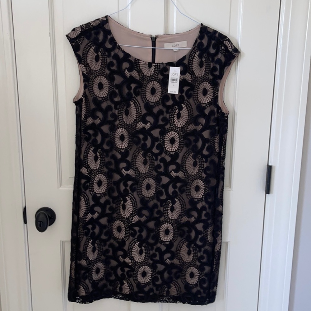 Ann Taylor Loft Dress NWT Size 8